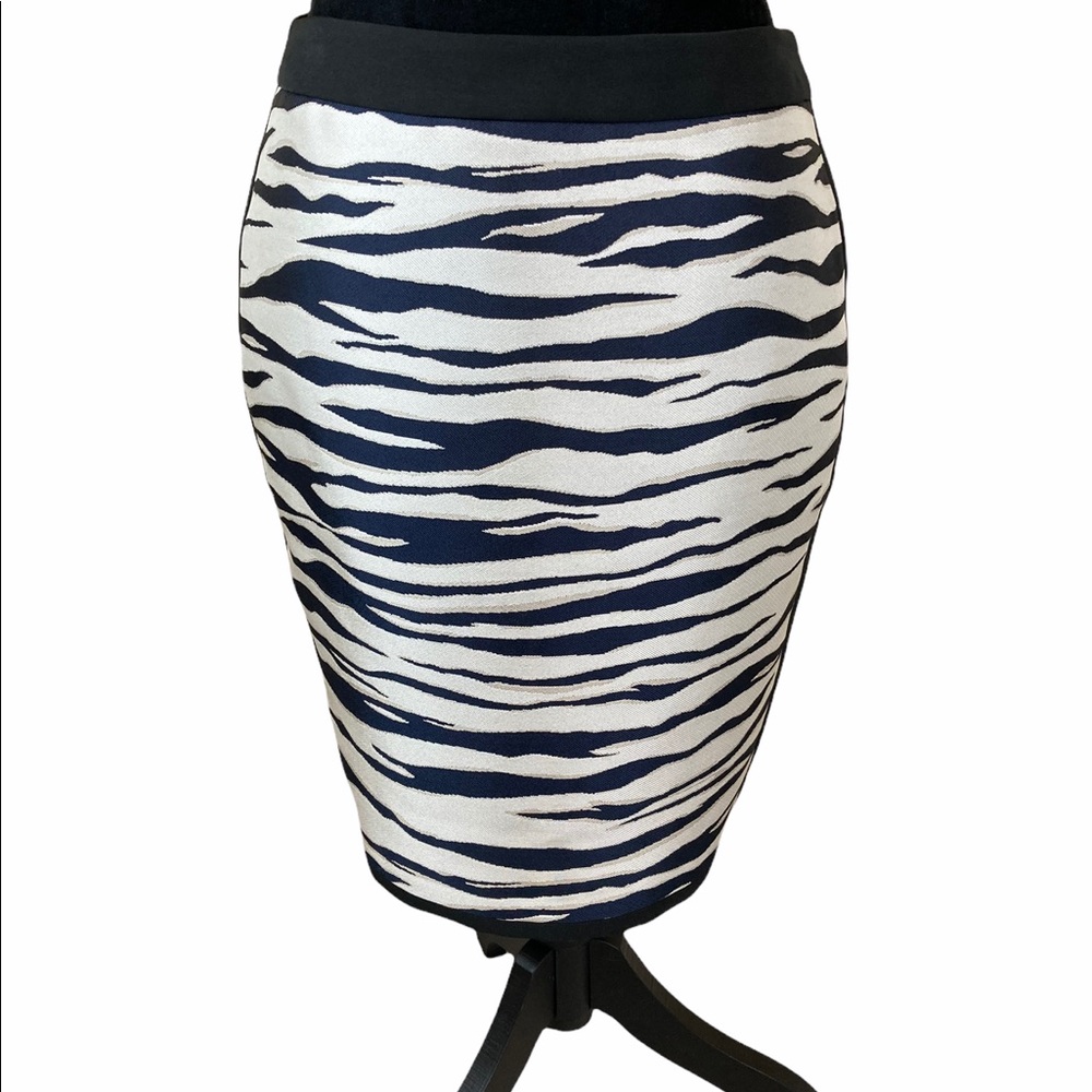Ann Taylor Petite Skirt